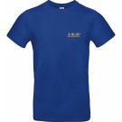 color:royal blue